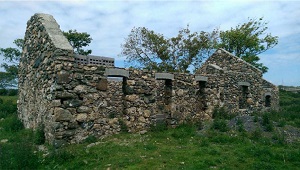tyn coed 2